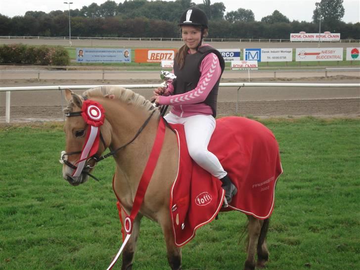 Fjordhest Romoses Jolly Jumper - Fynsmestre i Ponygalop 2007 - Præmie overrækkelse. billede 4