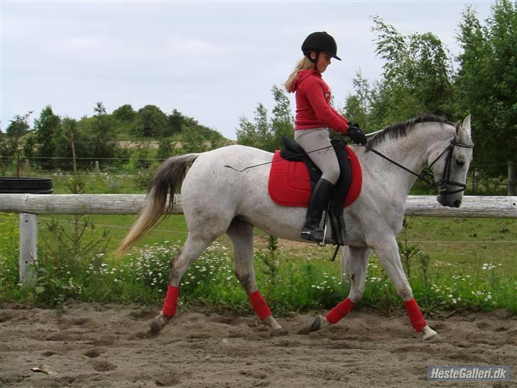 Anden særlig race Juwel "SOLGT :( " billede 5