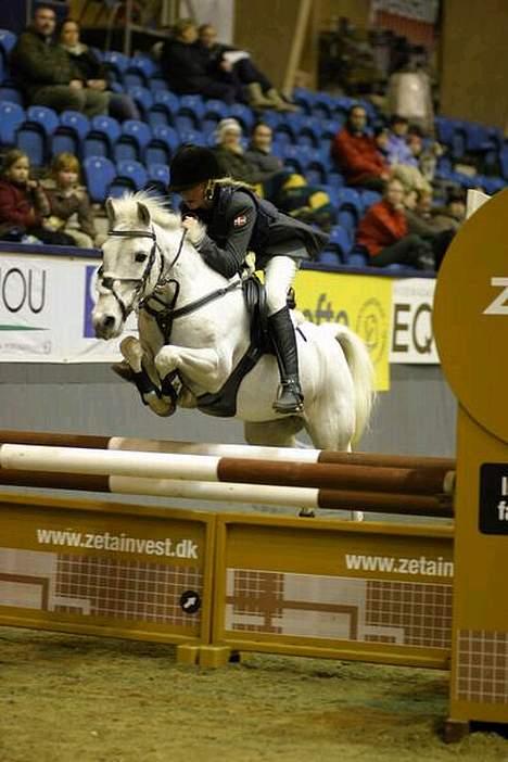 Anden særlig race Madonna (solgt) - JBK Horseshow 2004 billede 5