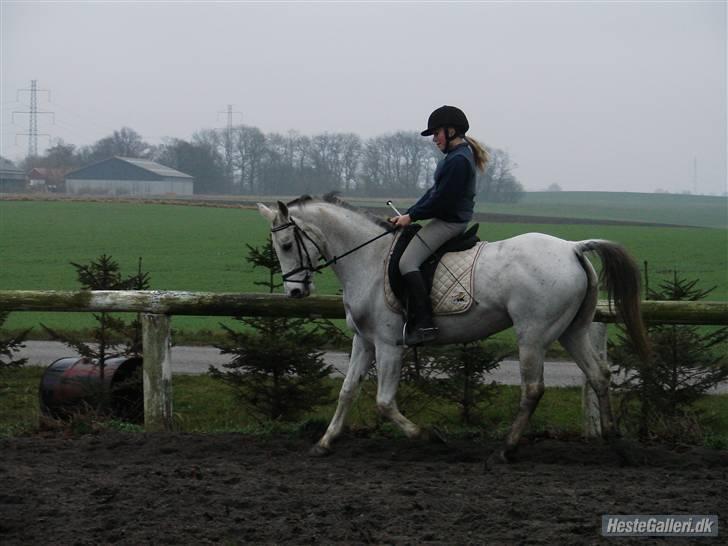 Anden særlig race Juwel "SOLGT :( " billede 10