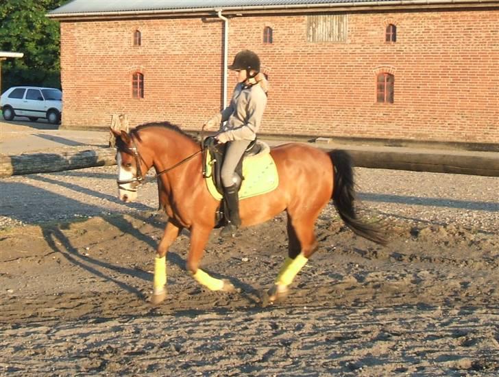 DSP Sønderlunds Chateau  - Dressur ;D billede 11