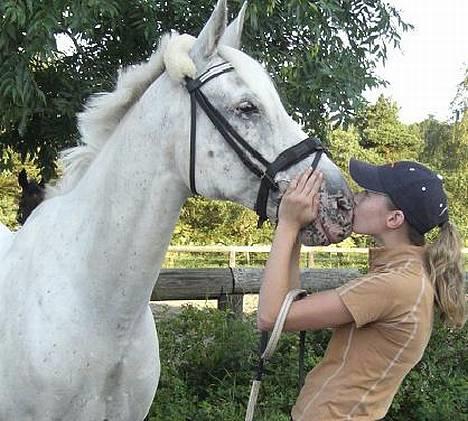 Knabstrupper Coco's Wladimir <3 - #1 Min dejlige dreng, sommeren 06. billede 1