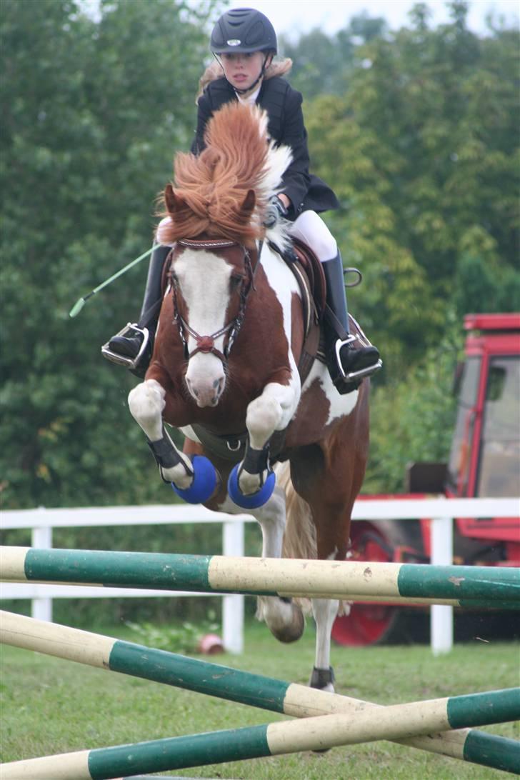 Pinto Winnitou solgt  - stævne med anne-mette billede 15