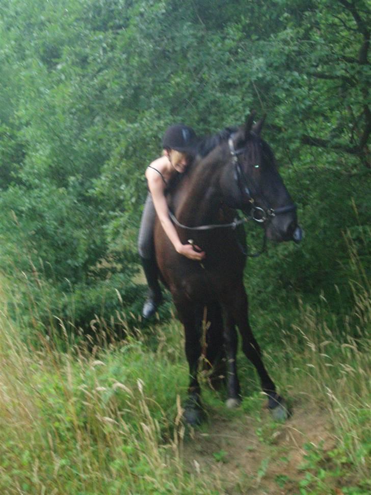 Anden særlig race Baltic Zorro <33  billede 8
