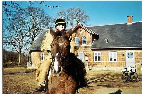 Anden særlig race Santos ¤Rideskole hest¤ - Her er vi indianer . billede 5