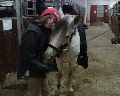 DSP Stidsbjergs Tabitta - Mig og Tabs Nusser , Giver hende os Lakrids <"33 Hun ELSKER det ! <"33 billede 8