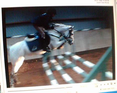 DSP Stidsbjergs Tabitta - Her springer mig og Tabber Pony Trippelbar med 4 bomme , Ikke så godt da det er taget fra computer og over til Mobil <´3 billede 10