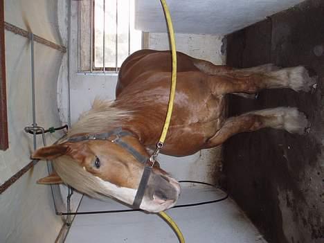 Jyde Lasse - Mig?? Hvem hvad hvor og hvorfor.. billede 7