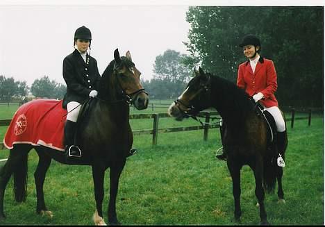 Welsh Cob (sec D) Alvediston Mair R.I.P. - Mair blev klubmester her står hun med et af sine gamle føl billede 3