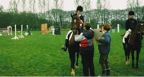 Welsh Cob (sec D) Alvediston Mair R.I.P. - til klubstævne i nordvestsjællandsrideklub billede 7