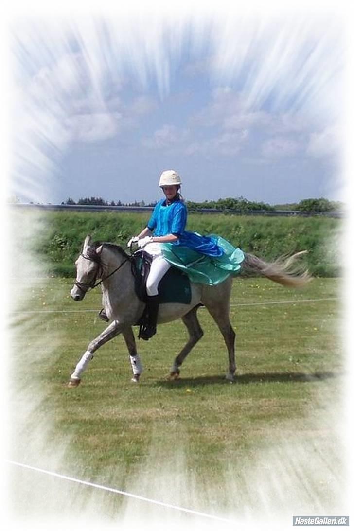 DSP Apollonia <3 - Apollonoa og jeg til opvisning.. :) <3 billede 1