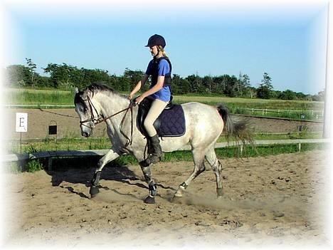 DSP Apollonia <3 - 2/7 2006 billede 2