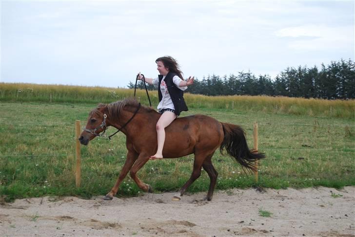 Anden særlig race »Freja <3 « † Sov sødt † - Freja og jeg i fin galop uden udstyr. Ingen kommentarer om den manglende hjelm, det mig det skader, ikke dig :p - Nej, er heller ikke "bidløs rytter", så heller ingen: "Dejligt at se endnu en der fravælger biddet" :) TAK! - Dato: 11. juli 2008. billede 15