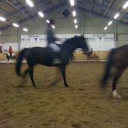 Oldenborg lille my