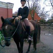 Anden særlig race Nobel