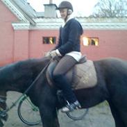 Anden særlig race Nobel