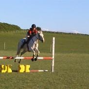 DSP Indian Spirit solgt:'(