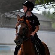 Anden særlig race Don Dazzle :D