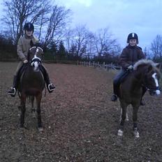 Anden særlig race Beauty ( gammel part)