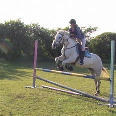 DSP Indian Spirit solgt:'(