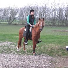 Anden særlig race Candy - Rest in Peace