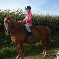 Anden særlig race lucas 