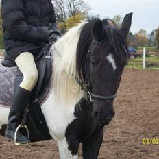 Barockpinto La Santa ¤ solgt ¤ :'(