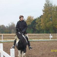 Barockpinto La Santa ¤ solgt ¤ :'(