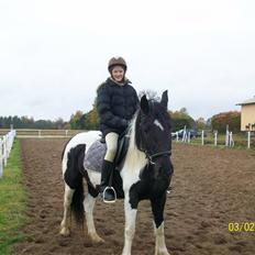 Barockpinto La Santa ¤ solgt ¤ :'(