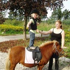 Shetlænder Louis :)