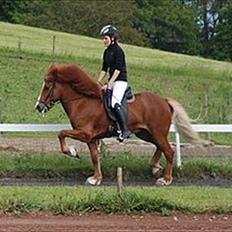 Islænder Sævar från Musö