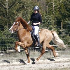 Islænder Sævar från Musö