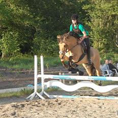 Anden særlig race Trolle