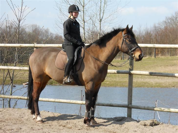 Oldenborg Felix Dupont - 5.  billede 5