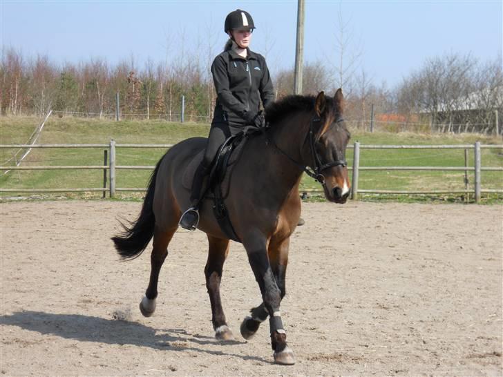 Oldenborg Felix Dupont - 10. billede 10