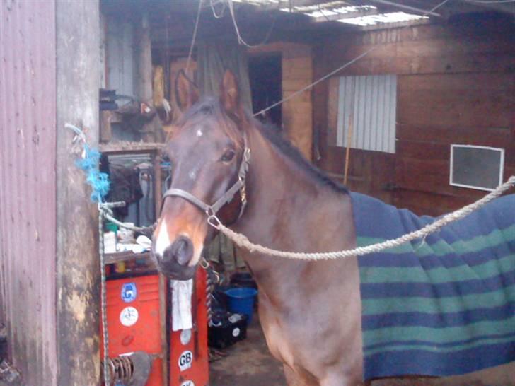 Oldenborg Felix Dupont - 11. billede 11