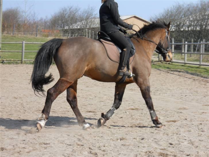 Oldenborg Felix Dupont - 12. billede 12