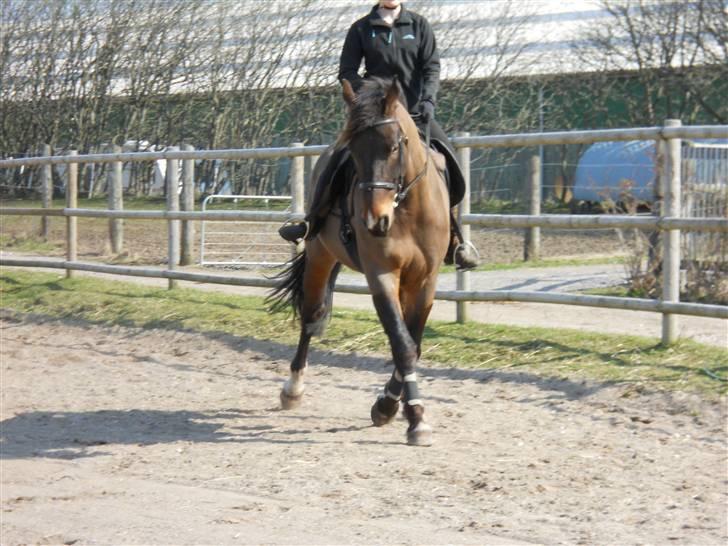 Oldenborg Felix Dupont - 14. billede 14