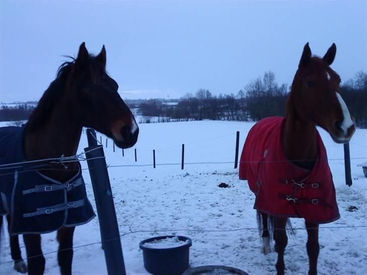 Oldenborg Felix Dupont - 15. billede 15