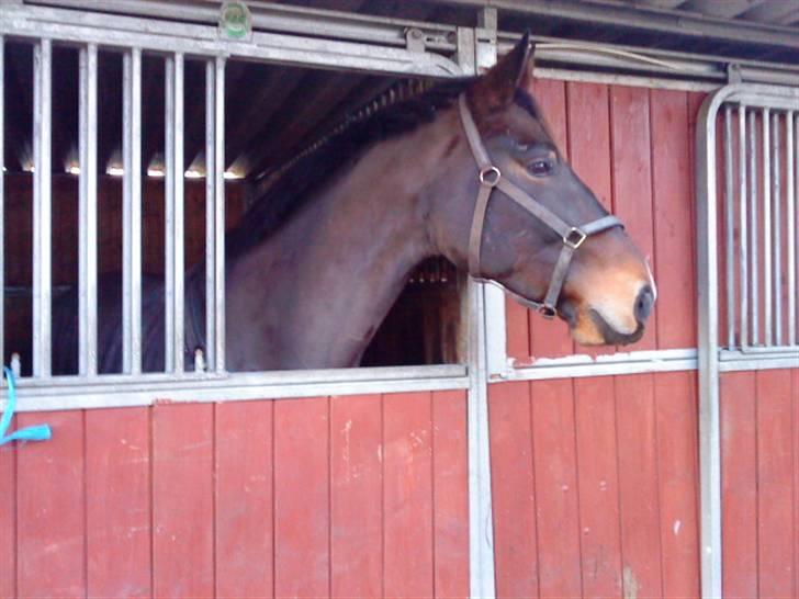 Oldenborg Felix Dupont - 19. billede 19