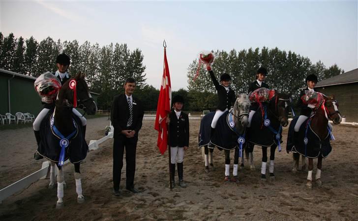 Pinto Mosegårds Moon Star - Hele holdet med Overdommer Peter og min søster Julie(fanebærer) billede 9