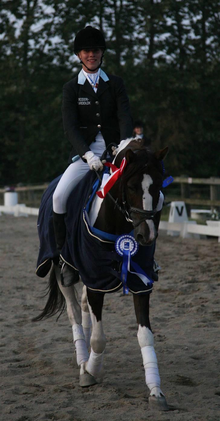 Pinto Mosegårds Moon Star - SJÆLLANDSMESTER 2009 HOLD billede 19