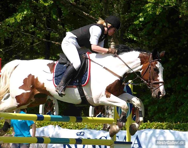 Pinto KLUBMESTER '10 Cheyenne - Aabenraa i pinsen ´10 her i en LB  Foto: Katrine Bruun billede 11