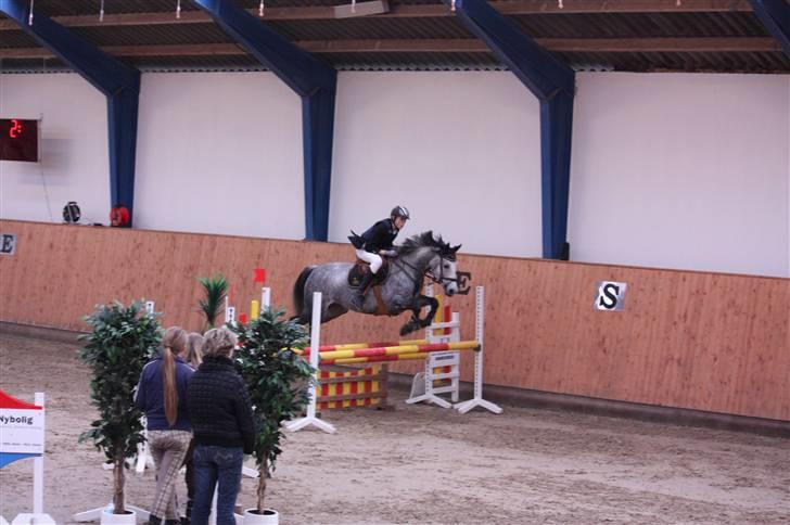 Sportsaraber (A) LilleStaruphøjs Sassi billede 11