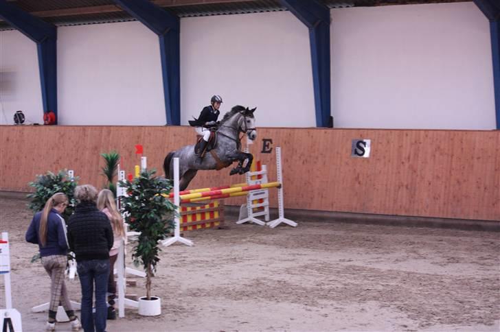 Sportsaraber (A) LilleStaruphøjs Sassi billede 16