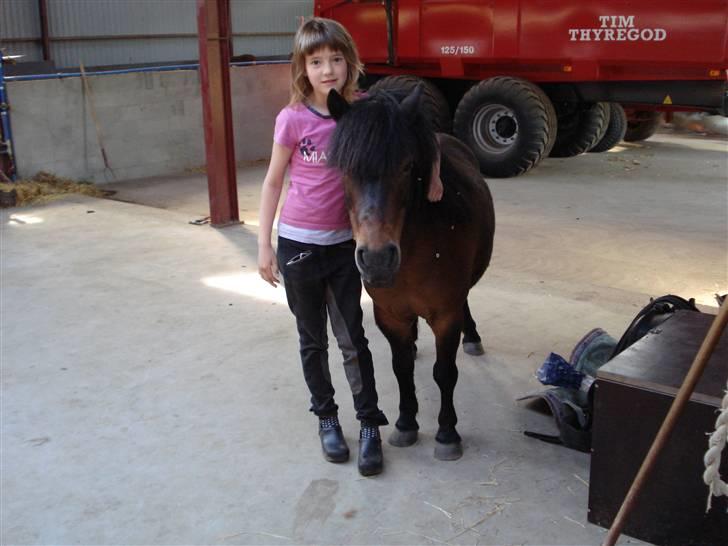 Shetlænder Mille - Min kusine Louise og Mille..  Mille er der altid når man har brug for hende<33 billede 1
