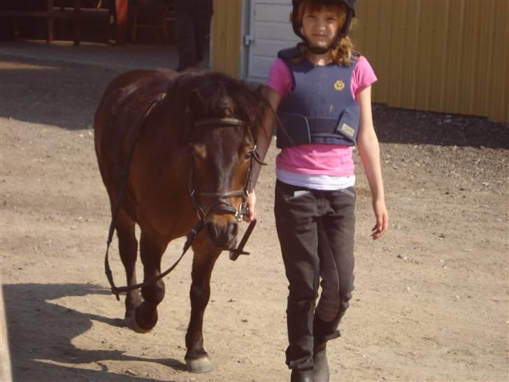 Shetlænder Mille - Min kusine Louise og Mille:)  Mille er altid glad og vil altid være med på sjov og balde!! hihi billede 2