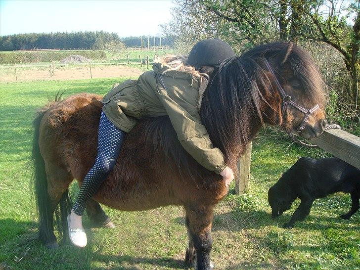 Anden særlig race Jolly - velkommen til jolly s profil billede 1