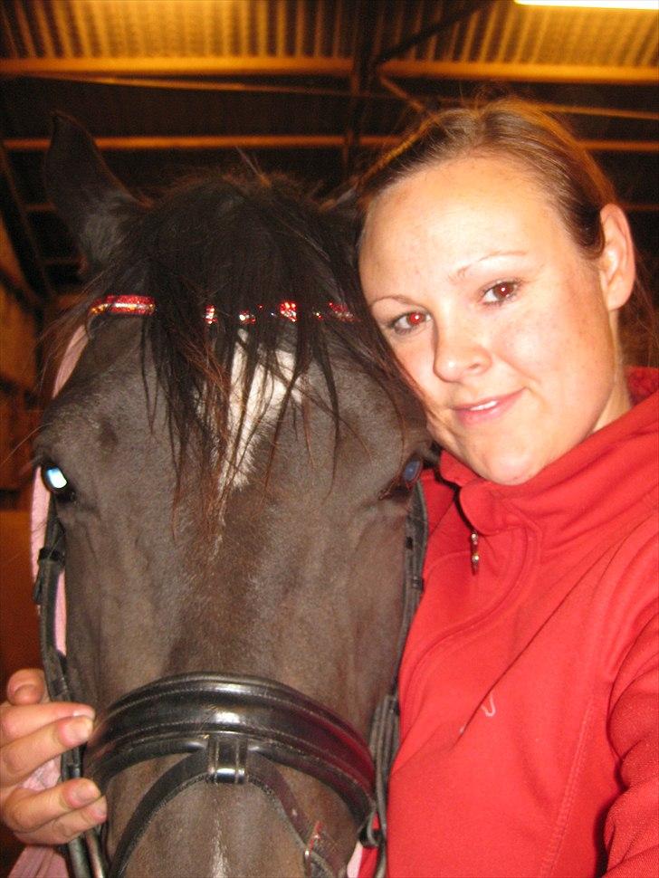 Dansk Varmblod Miss Light - min dejlige hest billede 7