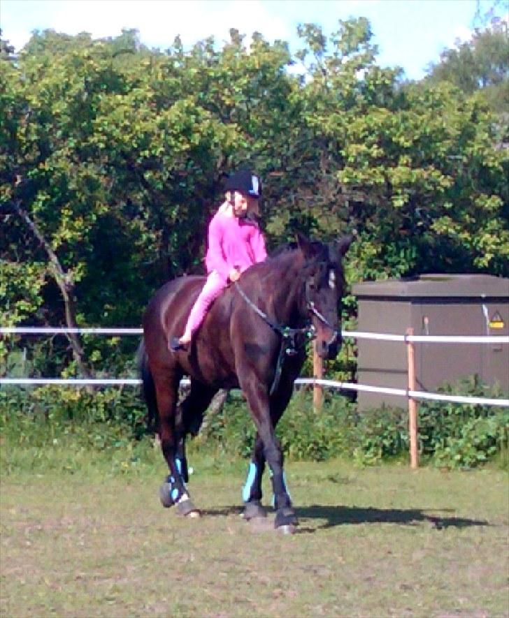 Traver Cyrano "Himmelhest" - Mathilde & Cyrano efter springning.. Mathilde fik lige lov til at skridte af uden saddel xD 
Foto: Miig billede 5